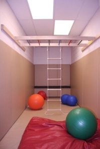 Monkey Bars for Therapy room
